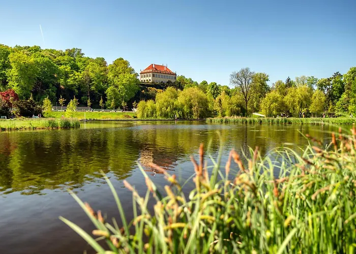 Soukromy D5 U Vystaviste Holesovice Prag